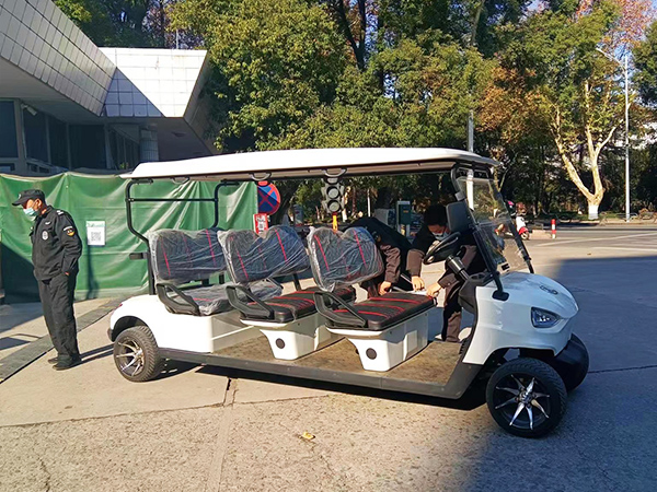 四轮电动观光车图片大全有哪些